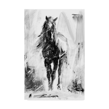 Trademark Fine Art Ethan Harper 'Rustic Stallion Ii' Canvas Art, 12x19 WAG07326-C1219GG